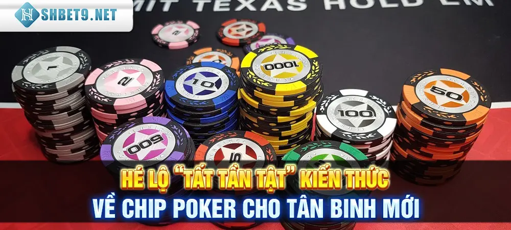 Hé Lộ “Tất Tần Tật” Kiến Thức Về Chip Poker Cho Tân Binh Mới